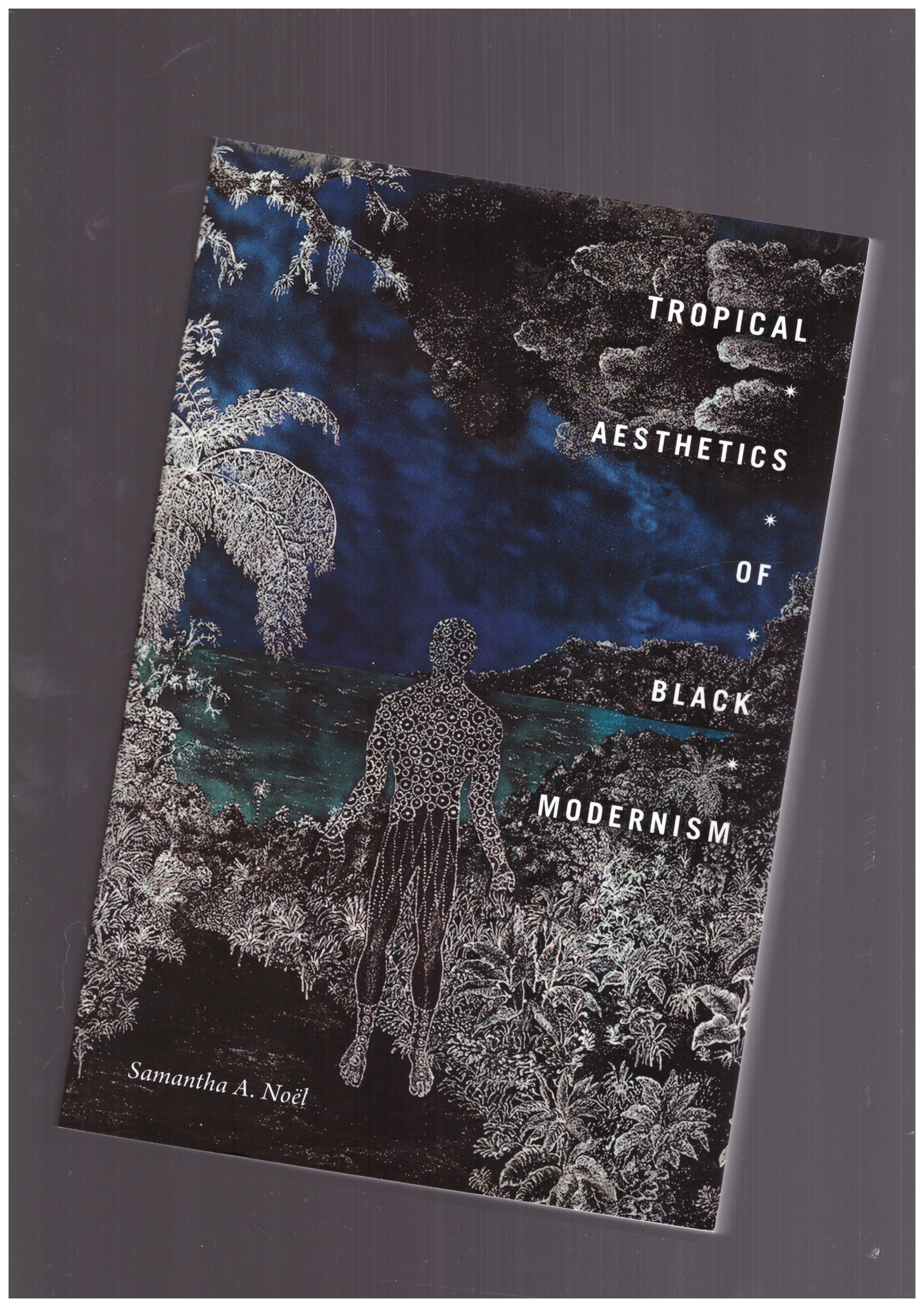 NOËL, Samantha A. - Tropical Aesthetic of black modernism